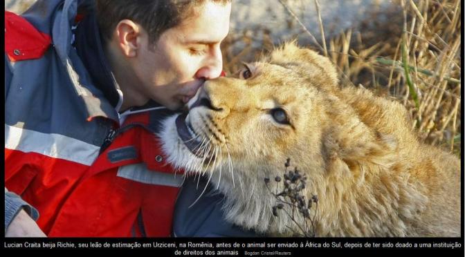 Inspiração para o desapego
