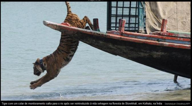 Inspiração para libertar