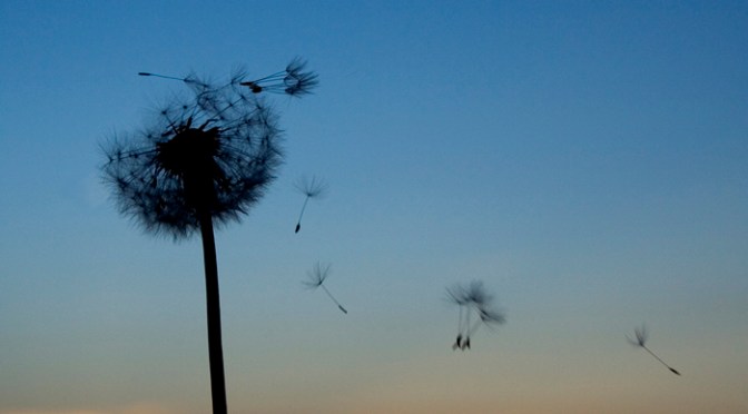 Inspiração para ser mais