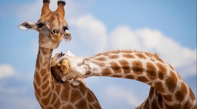 Amizade em tempos de redes sociais