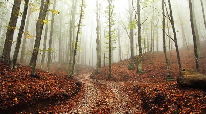 Inspiração para mudar de rota