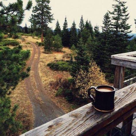 18664395_1671079846238917_8401146656399461282_n